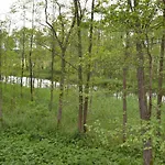 Osrodek Wypoczynkowo-turystyczny Perla Krutyni * Nowy Most
