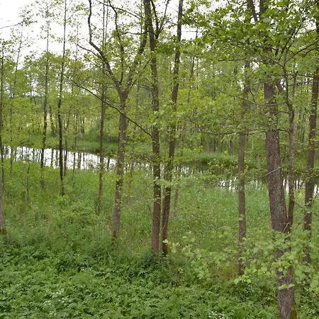 Osrodek Wypoczynkowo-turystyczny Perla Krutyni * Nowy Most